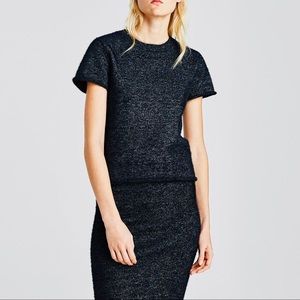 SET - ZARA Knit Shimmery Skirt & Tank in Small